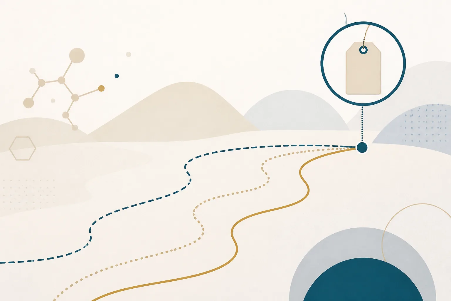 Abstract illustration of three winding routes converging on a single checkpoint, where a magnifying lens hovers over a plain rectangular tag